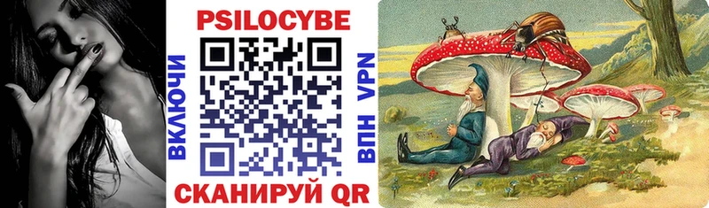 Галлюциногенные грибы Psilocybine cubensis  Собинка 